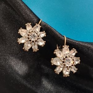 Why would Isabel Mirabella drop earrings